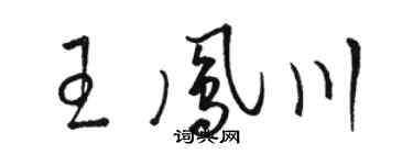 駱恆光王鳳川草書個性簽名怎么寫