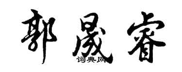 胡問遂郭晟睿行書個性簽名怎么寫