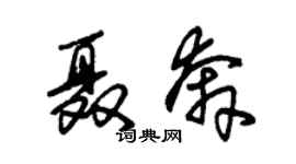 朱錫榮聶奔草書個性簽名怎么寫