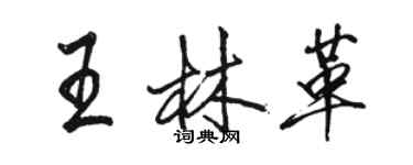 駱恆光王林革行書個性簽名怎么寫