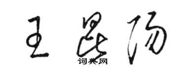 駱恆光王昆陽草書個性簽名怎么寫