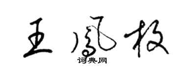 梁錦英王鳳枚草書個性簽名怎么寫