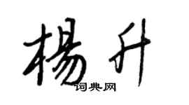 王正良楊升行書個性簽名怎么寫