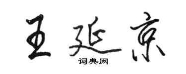 駱恆光王延京行書個性簽名怎么寫