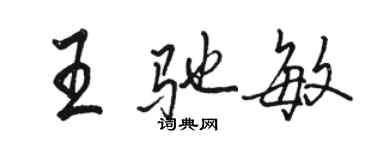 駱恆光王馳敏行書個性簽名怎么寫