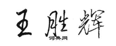 駱恆光王勝輝行書個性簽名怎么寫