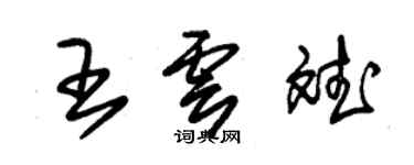 朱錫榮王雲斌草書個性簽名怎么寫