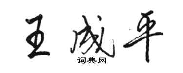 駱恆光王成平行書個性簽名怎么寫