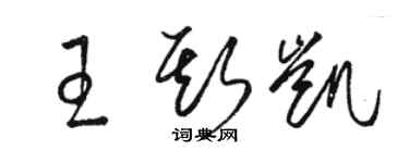 駱恆光王斯凱草書個性簽名怎么寫