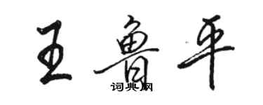 駱恆光王魯平行書個性簽名怎么寫