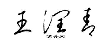 梁錦英王潤青草書個性簽名怎么寫