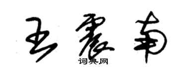 朱錫榮王震南草書個性簽名怎么寫