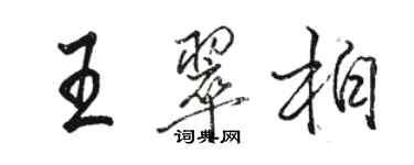 駱恆光王翠柏行書個性簽名怎么寫