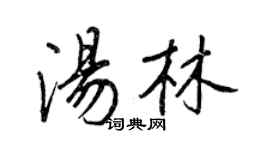 王正良湯林行書個性簽名怎么寫