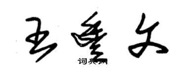 朱錫榮王豐文草書個性簽名怎么寫