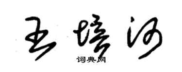 朱錫榮王培河草書個性簽名怎么寫