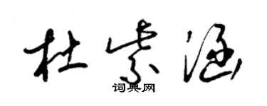 梁錦英杜紫涵草書個性簽名怎么寫
