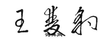 駱恆光王雙豹草書個性簽名怎么寫