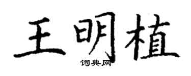 丁謙王明植楷書個性簽名怎么寫