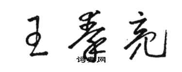 駱恆光王秦亮草書個性簽名怎么寫