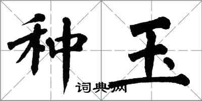 翁闓運種玉楷書怎么寫