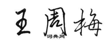 駱恆光王周梅行書個性簽名怎么寫