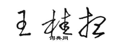 駱恆光王桂想草書個性簽名怎么寫