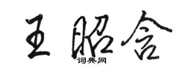 駱恆光王昭含行書個性簽名怎么寫