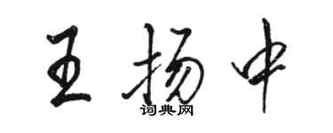 駱恆光王揚中行書個性簽名怎么寫