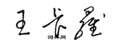 駱恆光王卡羅草書個性簽名怎么寫