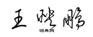 梁錦英王映鵬草書個性簽名怎么寫