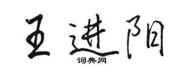 駱恆光王進陽行書個性簽名怎么寫