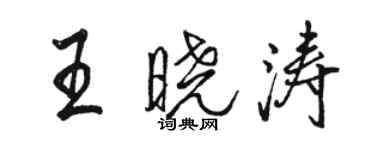 駱恆光王曉濤行書個性簽名怎么寫