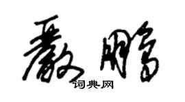 朱錫榮嚴鵬草書個性簽名怎么寫