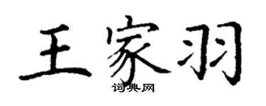 丁謙王家羽楷書個性簽名怎么寫