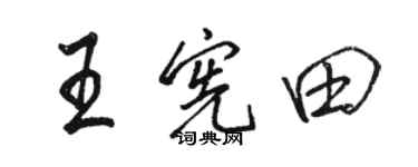 駱恆光王憲田行書個性簽名怎么寫