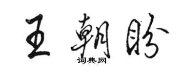 駱恆光王朝盼行書個性簽名怎么寫