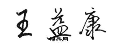 駱恆光王益康行書個性簽名怎么寫