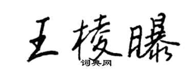 王正良王棱曝行書個性簽名怎么寫