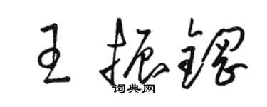 駱恆光王振鋼草書個性簽名怎么寫