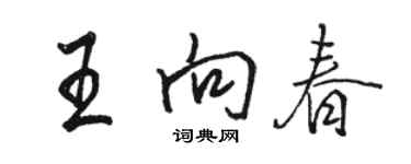 駱恆光王向春行書個性簽名怎么寫
