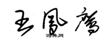 朱錫榮王鳳鷹草書個性簽名怎么寫