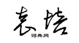 曾慶福袁培草書個性簽名怎么寫