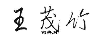 駱恆光王茂竹行書個性簽名怎么寫