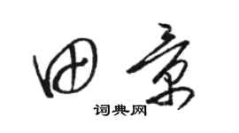 駱恆光田景草書個性簽名怎么寫