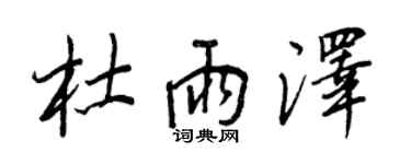 王正良杜雨澤行書個性簽名怎么寫
