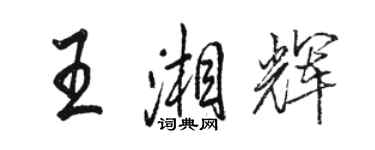 駱恆光王湘輝行書個性簽名怎么寫