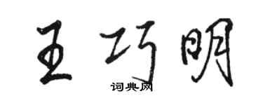駱恆光王巧明行書個性簽名怎么寫
