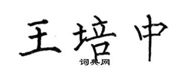 何伯昌王培中楷書個性簽名怎么寫