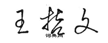 駱恆光王哲文草書個性簽名怎么寫